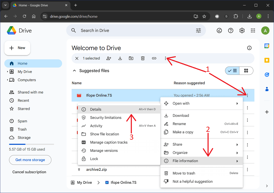 Shoiw details for a file from Google Drive